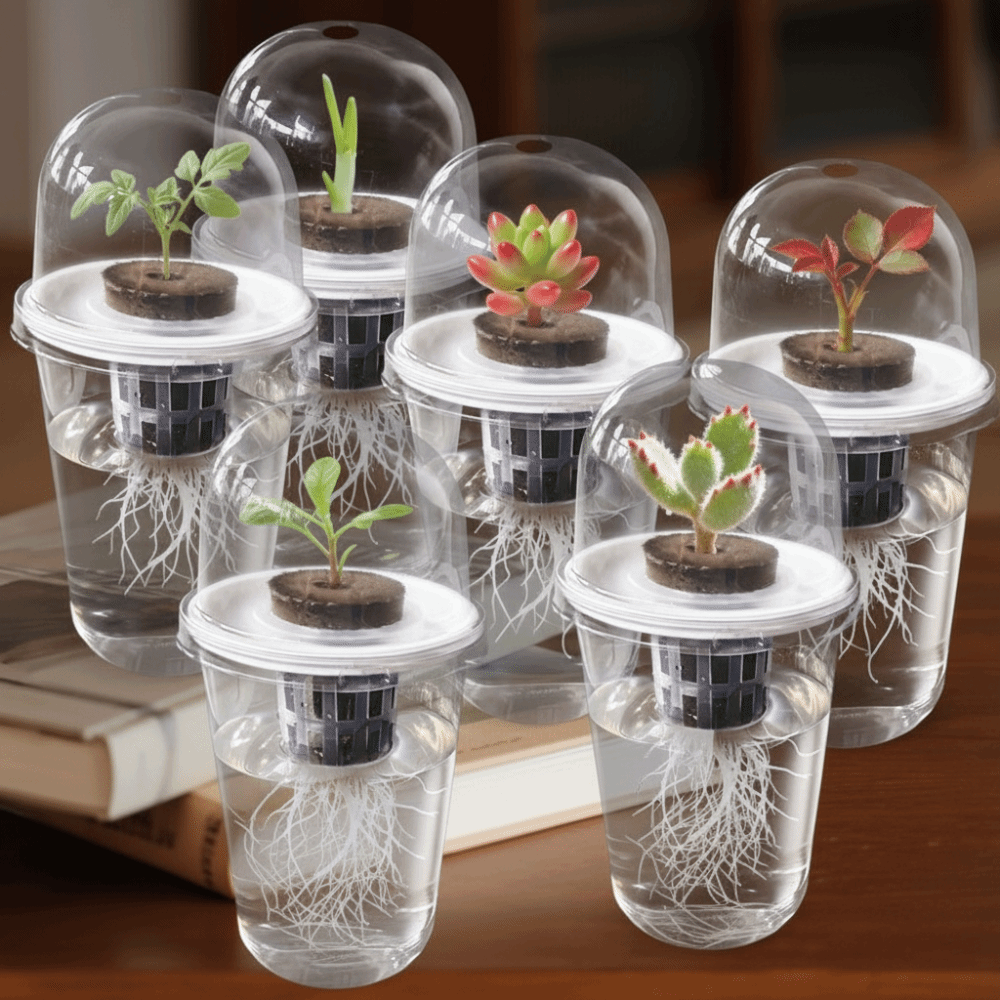 Seed Starter Tray - 1-5 шт. Прозрачные многоразовые гидропонные стаканчики