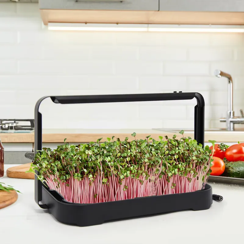 Hydroponic Kit - Гидропонный лоток для выращивания микрозелени в