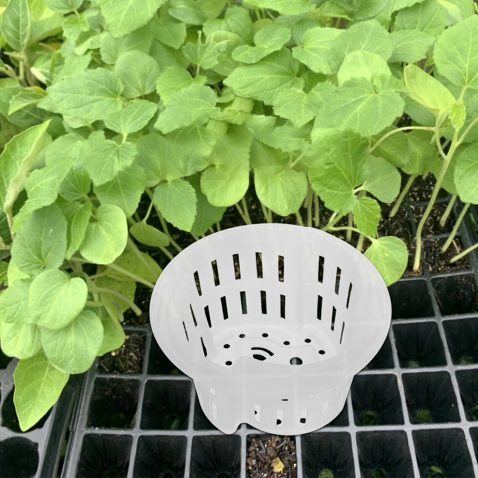 4 шт. утолщенных пластиковых с – обзор и цена Plant Pot