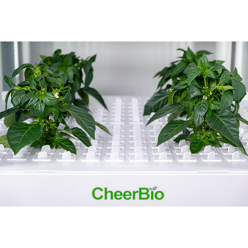 Новая интеллектуальная система – обзор и цена Hydroponic Kit
