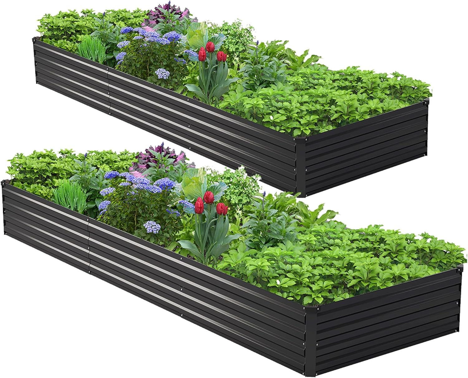 Комплект из 2 оцинкованных при – обзор и цена Raised Garden Bed