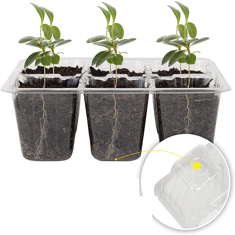 Стартовые лотки для семян с ис – обзор и цена Seed Starter Tray