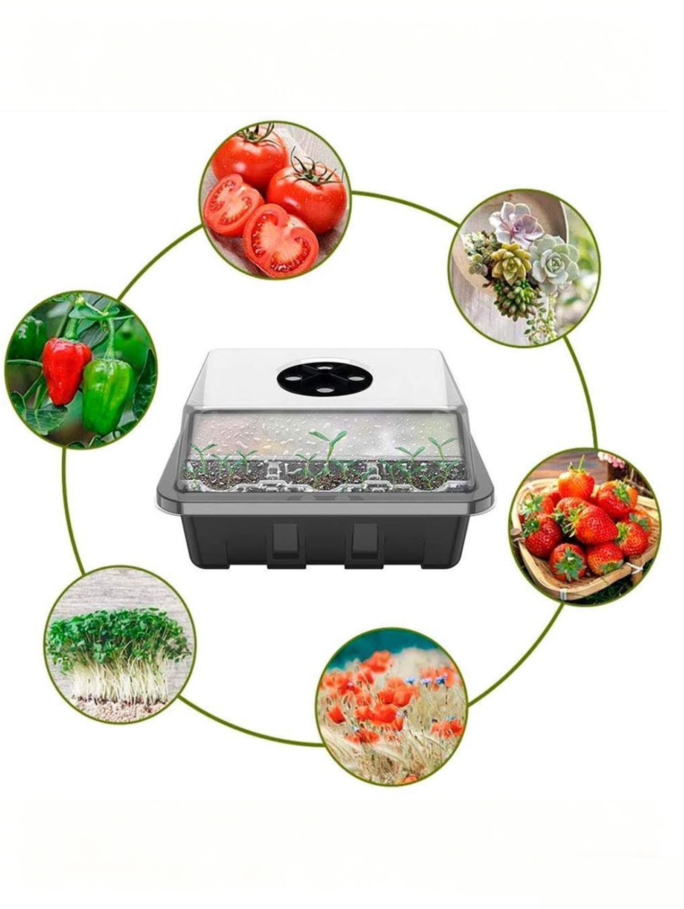 1/2 шт. лоток для рассады на 6 – обзор и цена Seed Starter Tray