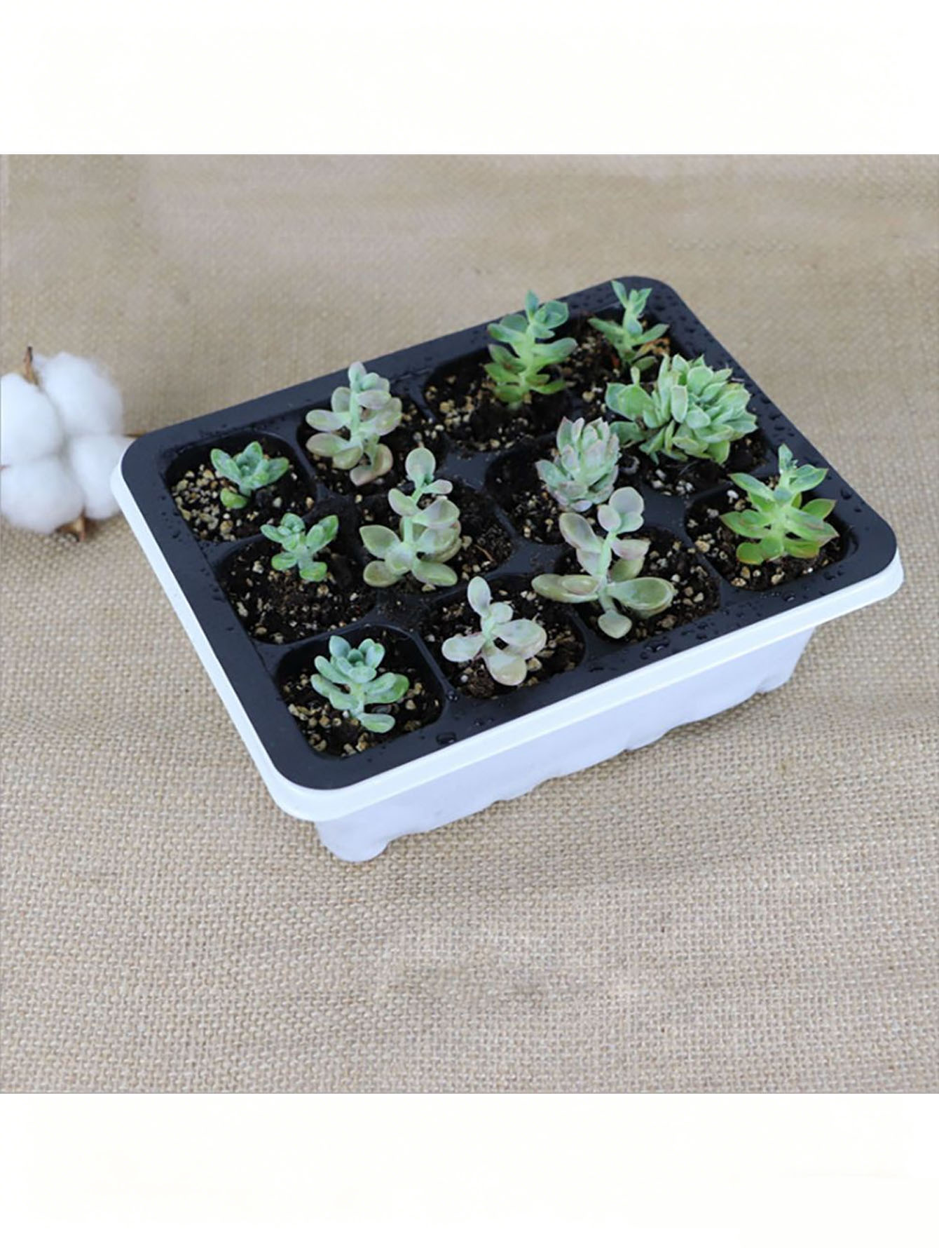 1/2 шт. лоток для рассады на 6 – обзор и цена Seed Starter Tray