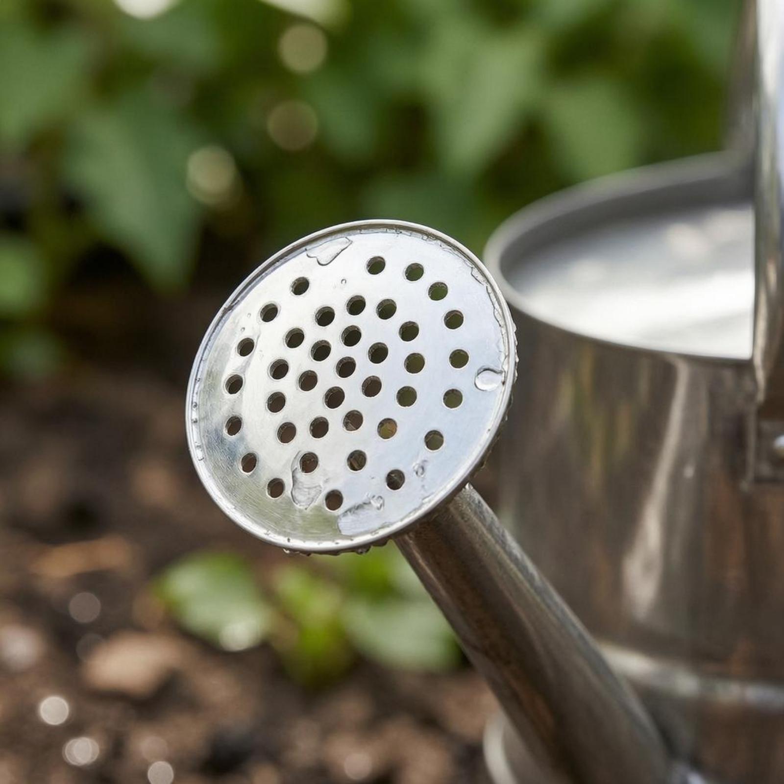Садовая лейка для полива цвето – обзор и цена Watering Can
