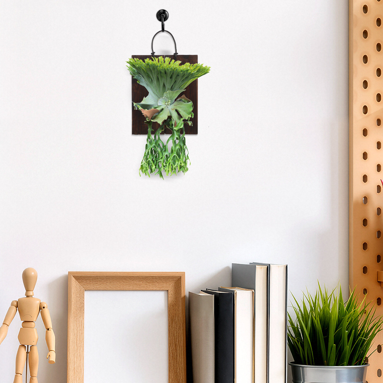 Доска для монтажа папоротника  – обзор и цена Vertical Planter